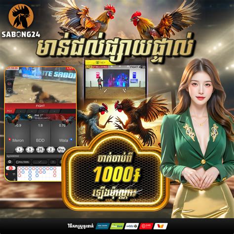 sb24 sabong|SB24 មានជល់ AG .